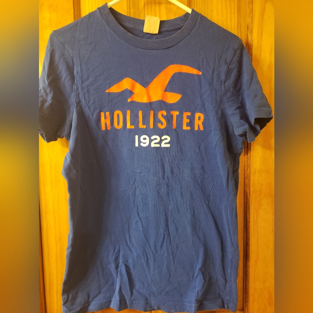 Hollister graphic tee-blue/orange